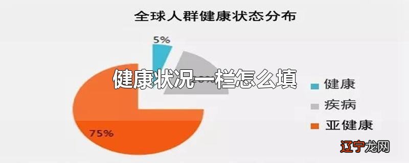 健康状况一栏怎么填