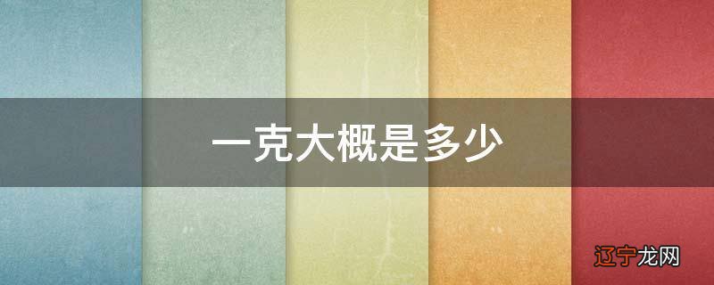 一克大概是多少