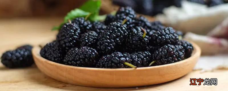 桑葚牛奶可以一起打果汁吗