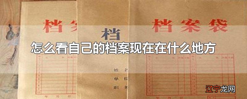 怎么看自己的档案现在在什么地方