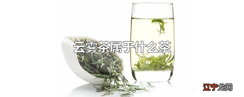 云雾茶属于什么茶