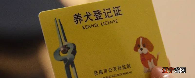 虎门大宁养狗去哪里办狗证