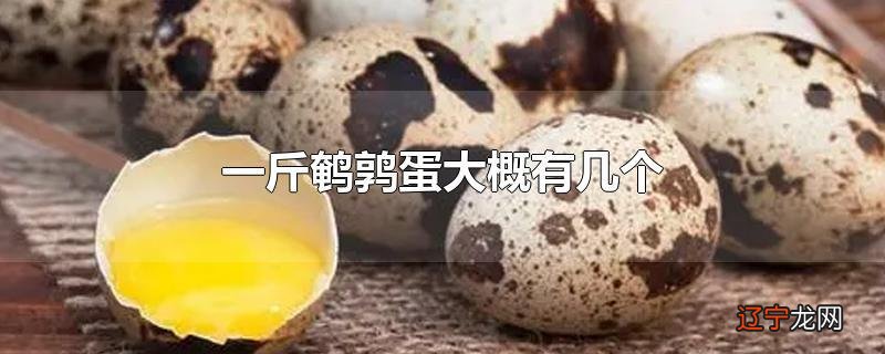 一斤鹌鹑蛋大概有几个
