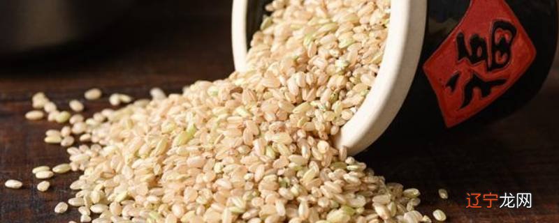 糙米怎么煮才能煮软