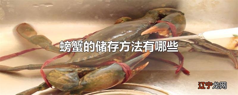 螃蟹的储存方法有哪些