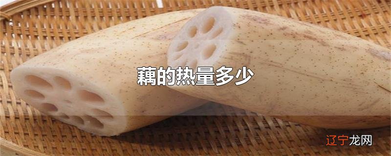 藕的热量多少