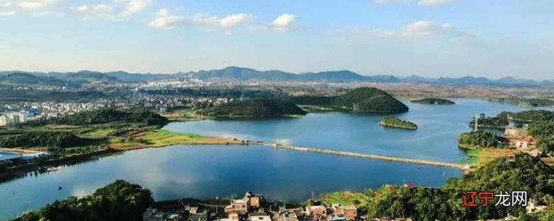 砚山听湖水库有什么鱼