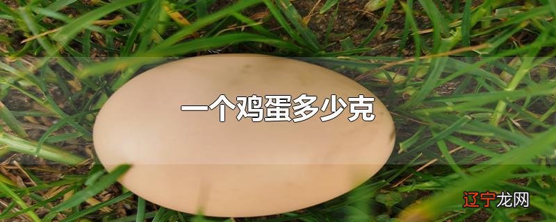 一个鸡蛋多少克