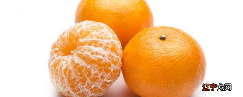 沃柑不能和什么一起吃