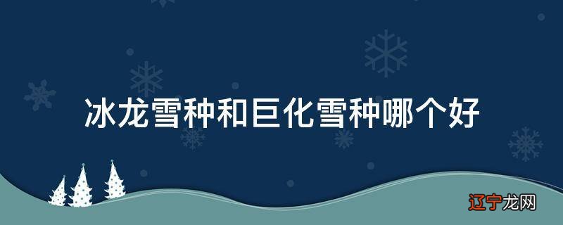 冰龙雪种和巨化雪种哪个好