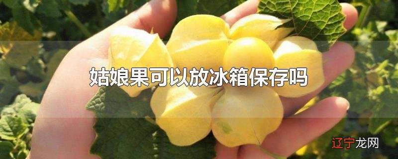 姑娘果可以放冰箱保存吗