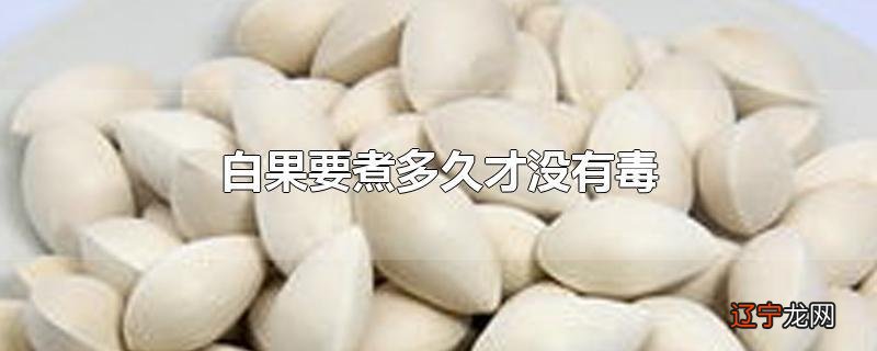 白果要煮多久才没有毒