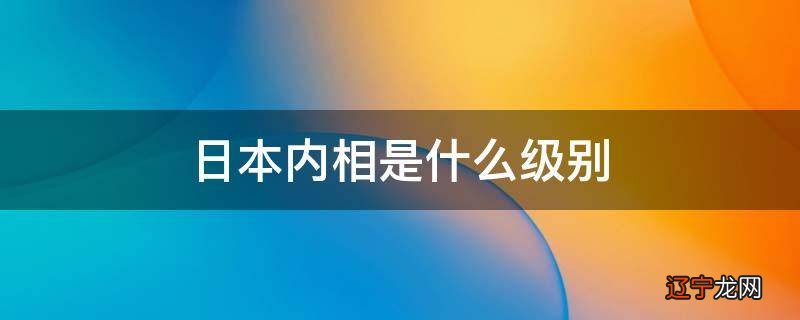 日本内相是什么级别