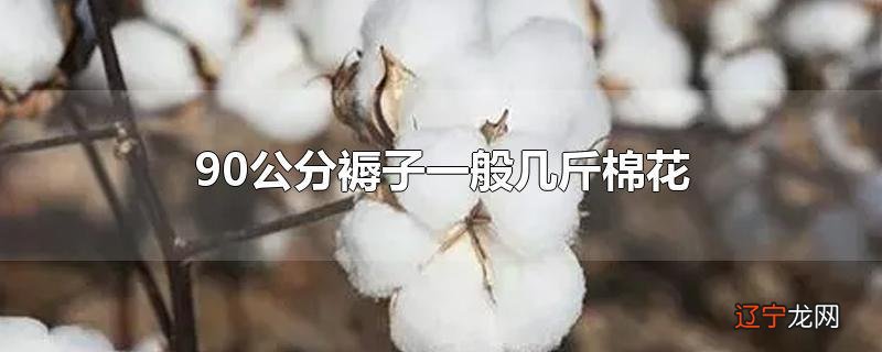 90公分褥子一般几斤棉花