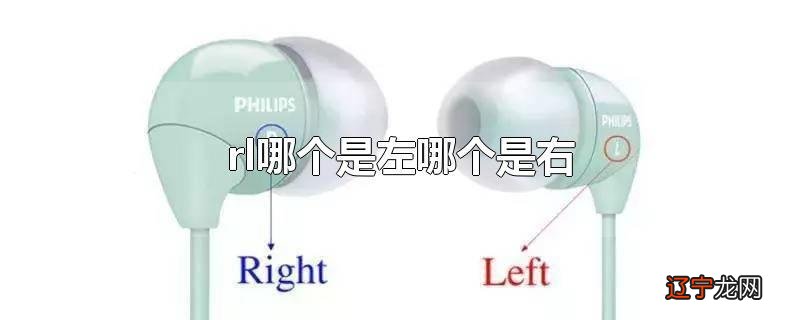 rl哪个是左哪个是右