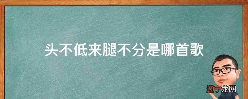 头不低来腿不分是哪首歌
