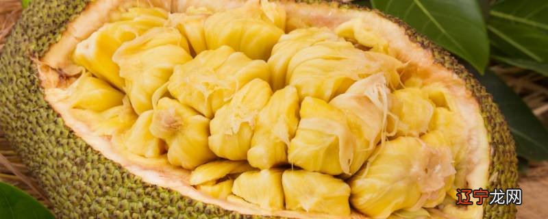 菠萝蜜怎么剥皮小窍门