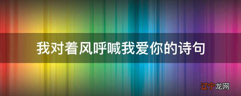 我对着风呼喊我爱你的诗句