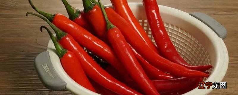 辣椒为什么不能种两年