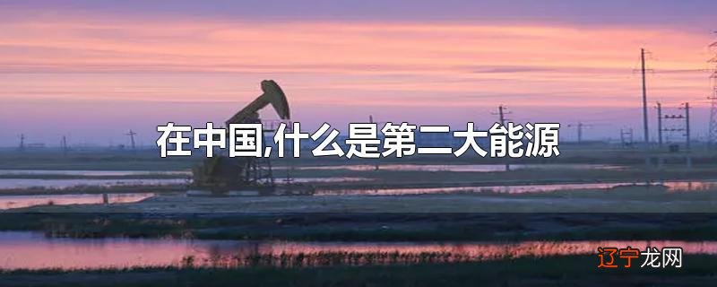 在中国,什么是第二大能源