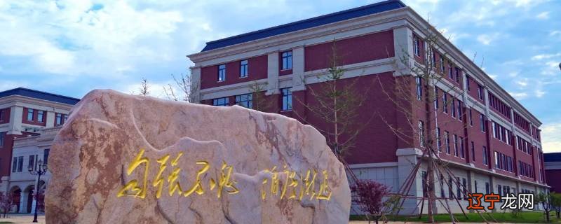 辽宁理工职业大学教务处