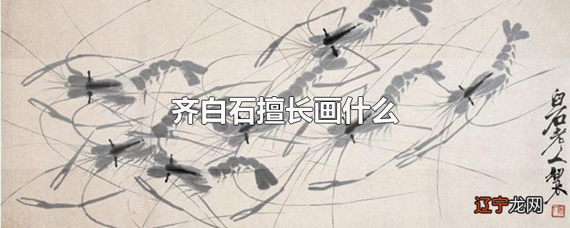 齐白石擅长画什么