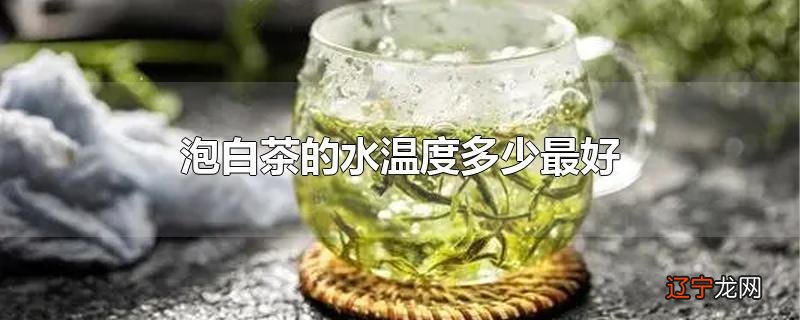 泡白茶的水温度多少最好