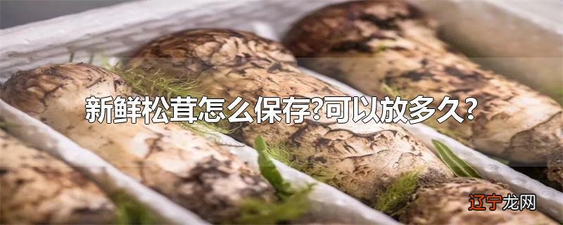 新鲜松茸怎么保存?可以放多久?