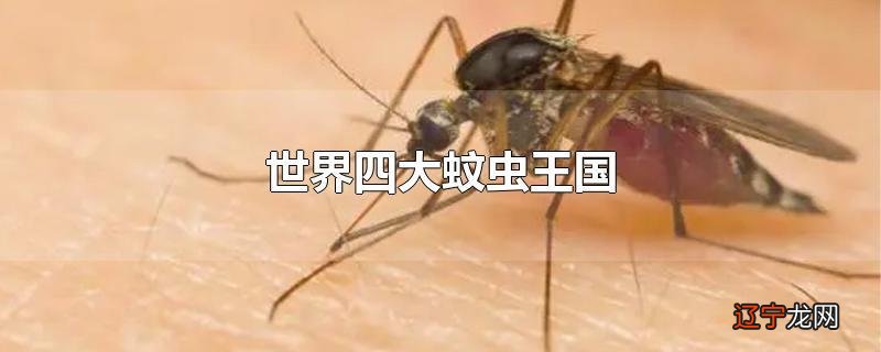 世界四大蚊虫王国
