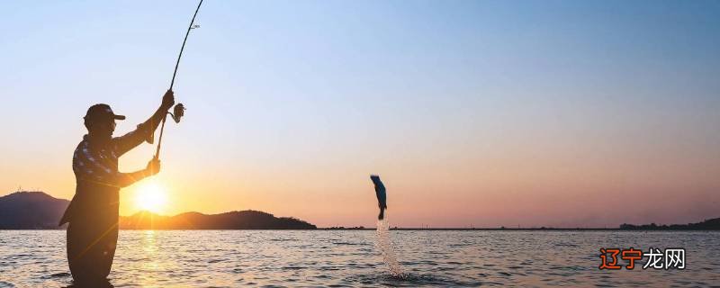 冬天可以放插地钩钓鱼吗