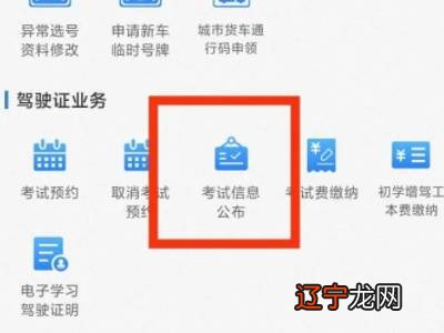 12123怎么查考试成绩