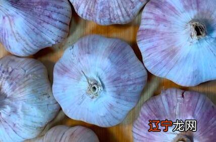 大蒜根须怎样腌制好吃