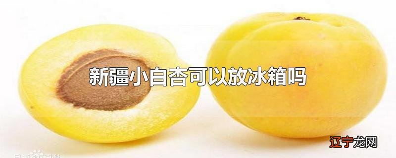 新疆小白杏可以放冰箱吗