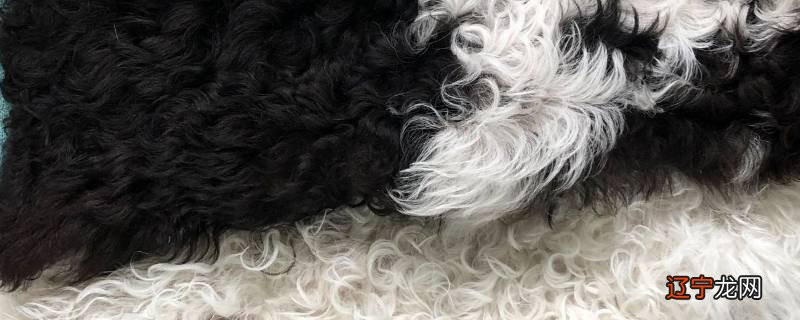 提格拉多是什么毛