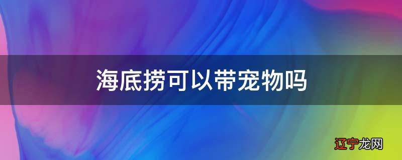 海底捞可以带宠物吗