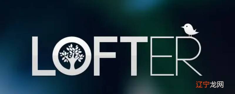 lofter怎样减少审核时间