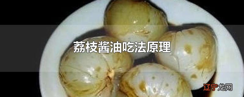 荔枝酱油吃法原理