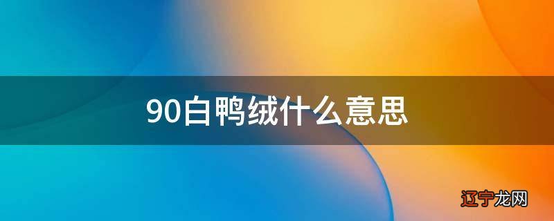 90白鸭绒什么意思