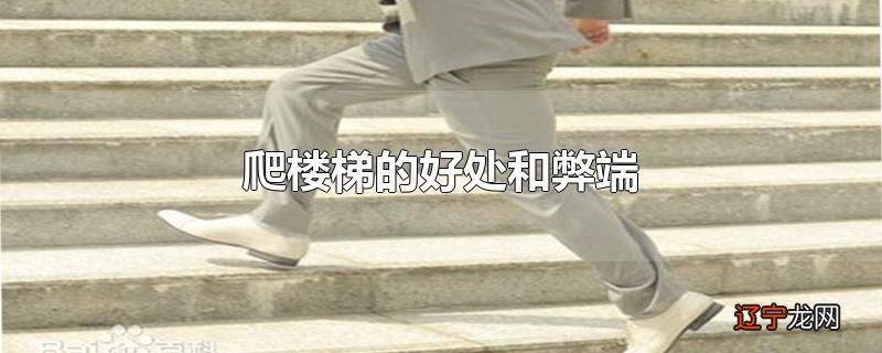 爬楼梯的好处和弊端