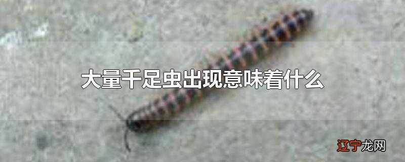 大量千足虫出现意味着什么