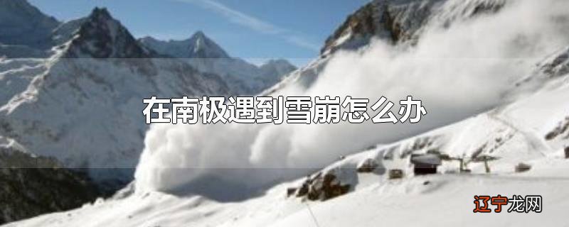 在南极遇到雪崩怎么办