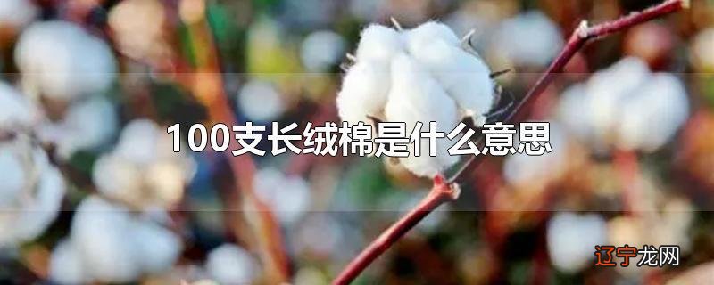100支长绒棉是什么意思