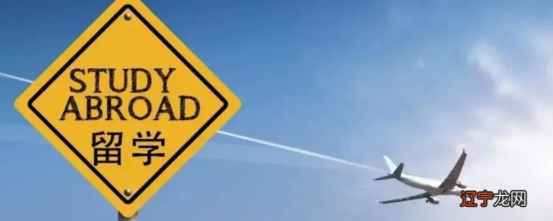 大三去国外留学叫什么
