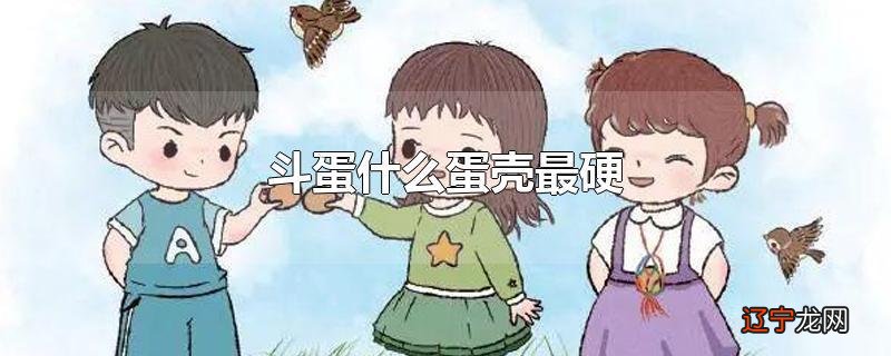 斗蛋什么蛋壳最硬