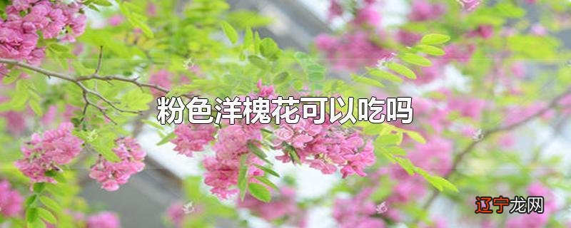 粉色洋槐花可以吃吗