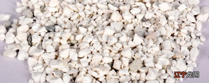 常用的食品干燥剂是啥