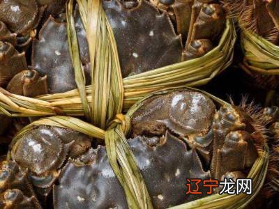 冬季大闸蟹怎么保鲜存活