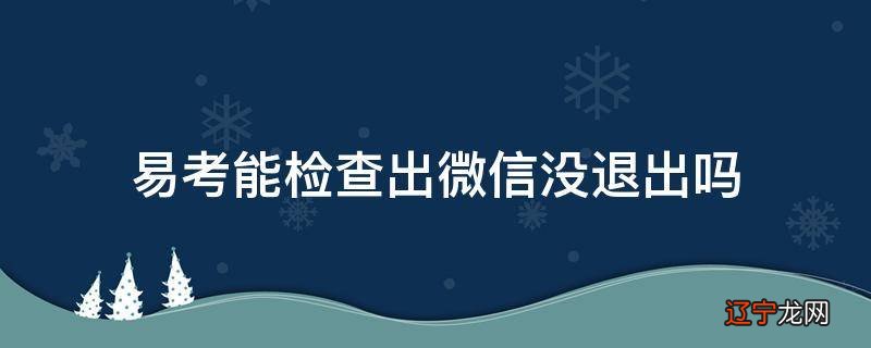 易考能检查出微信没退出吗