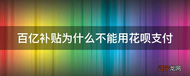 百亿补贴为什么不能用花呗支付