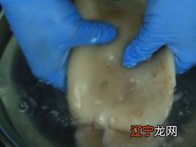 鱿鱼怎么处理方法